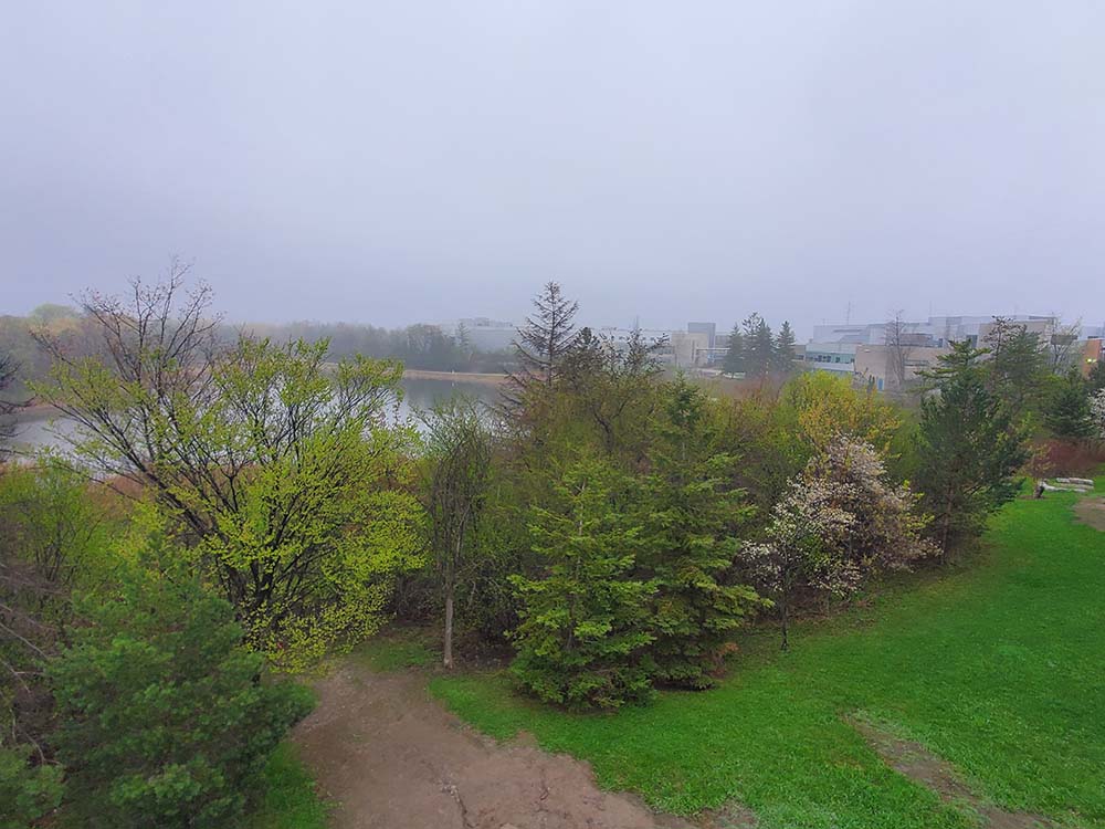 The pond at Sheridan's Davis Campus