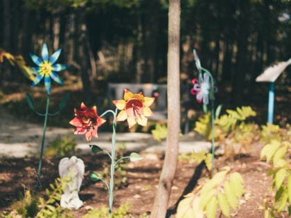 Flower garden